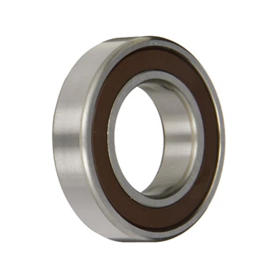 Rodamiento rígido de bolas 6006dducm